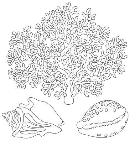 Coral and shellsのイラスト素材
