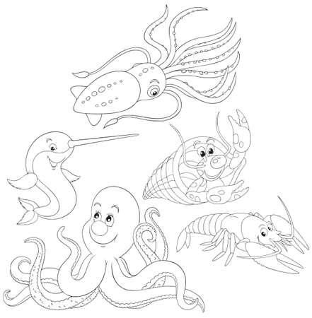 Octopus, crawfishes, narwhal and squidのイラスト素材