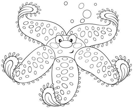 Starfishのイラスト素材