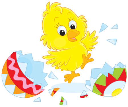 Newly hatched Easter Chickのイラスト素材