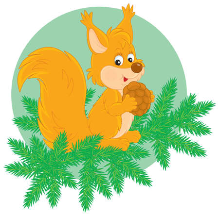 Little squirrel with a cone on a fir branchのイラスト素材