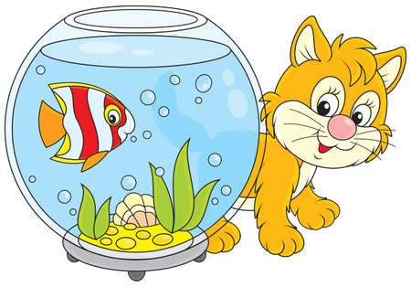 Little red kitten walking around an aquarium のイラスト素材