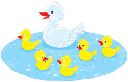 Duck and ducklingsのイラスト素材