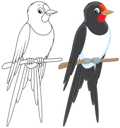 Martinのイラスト素材