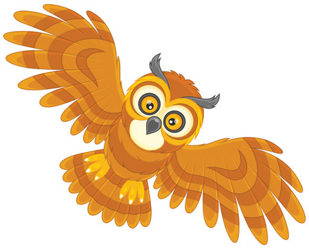 Night owl flyingのイラスト素材