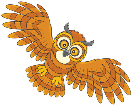 Night owl flyingのイラスト素材