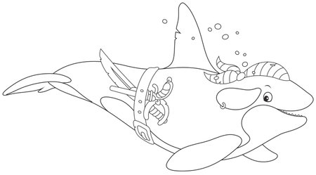 Killer whale pirateのイラスト素材