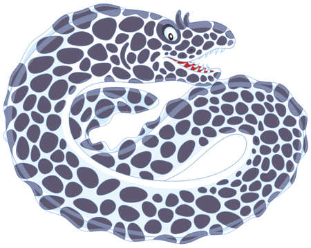 Black and white spotted morayのイラスト素材