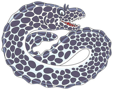 Black and white spotted morayのイラスト素材