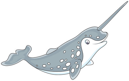 spotted narwhal with a long tuskのイラスト素材