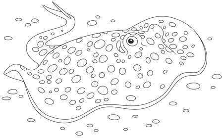 spotted stingrayのイラスト素材