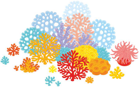 coralsのイラスト素材