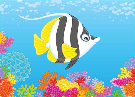 butterfly fish over a colorful coral reefのイラスト素材