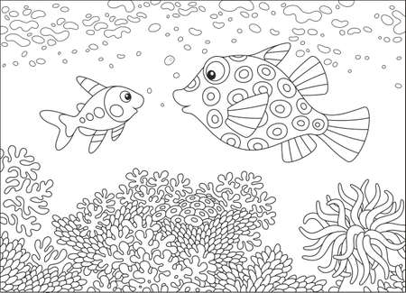 X-ray fish and box fish illustration.のイラスト素材