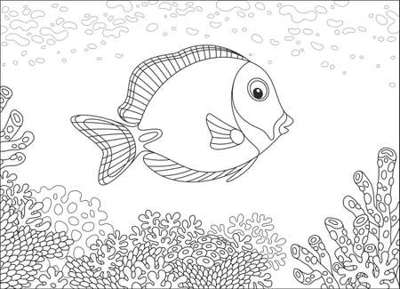 Surgeon fish on a coral reefのイラスト素材