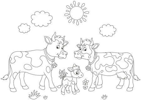 A spotted cow, a bull and a small calfのイラスト素材