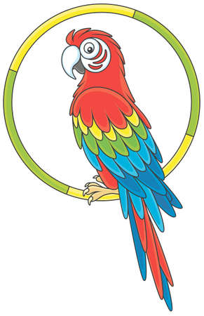 Parrot resting on a ring iconのイラスト素材