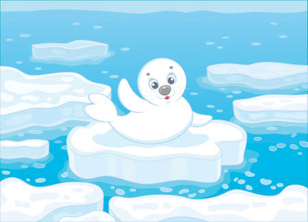 Little whitecoat seal waving his flipper in greeting on a drifting ice floe in a polar sea, vector illustrationのイラスト素材