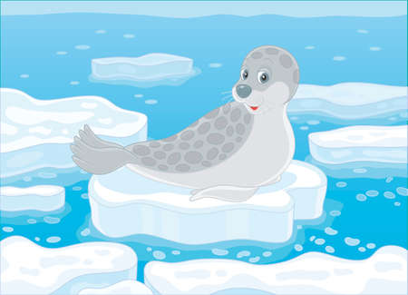 Spotted gray seal on a drifting ice floe in a polar sea, vector illustration in a cartoon styleのイラスト素材