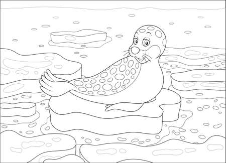 Spotted seal on a drifting ice floe in a polar sea, black and white vector illustration in a cartoon style for a coloring bookのイラスト素材