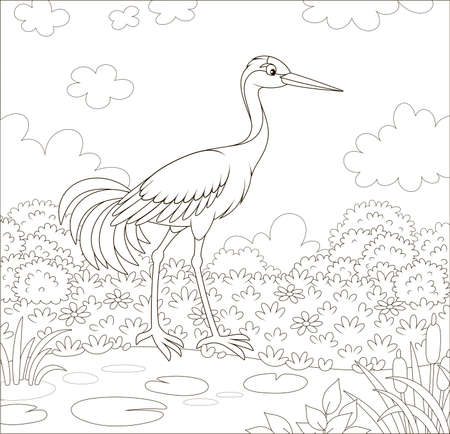 Red-crowned crane bird by a small lake among cane, grass and flowers of a meadow on a summer day, black and white  illustration in a cartoon styleのイラスト素材