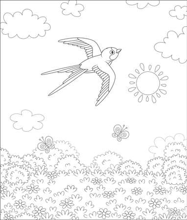 Swift-flying small swallow in summer sky over a field with butterflies flittering among flowers on a sunny day, black and white vector illustration in a cartoon styleのイラスト素材
