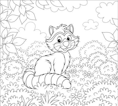 Cute raccoon sitting on grass among bushes and branches of trees on a forest edge on a beautiful summer day, black and white vector illustration in a cartoon styleのイラスト素材