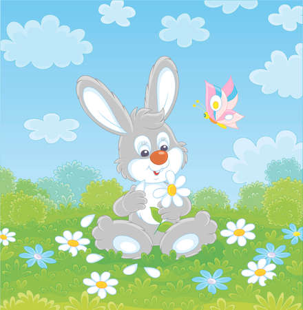 Loving little grey bunny and a colorful butterfly dreaming and telling fortunes with a white daisy on green grass of a summer field on a beautiful sunny day, vector cartoon illustrationのイラスト素材