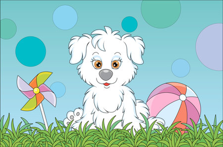 Funny little pup sitting on green grass after a game with colorful ball on a playground in a summer...