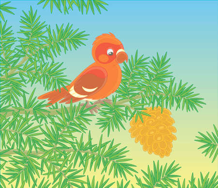 Crossbill with a big cone on a prickly branch of a green fir tree in a wild forest, vector cartoon illustrationのイラスト素材