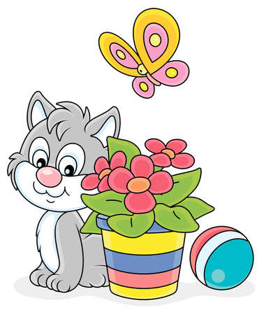 Little grey kitten sitting near a beautiful window flower in a striped flowerpot and watching a flittering bright butterfly, vector cartoon illustration on a white backgroundのイラスト素材