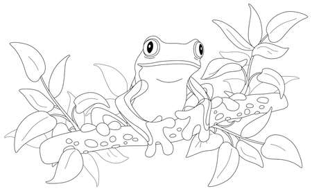 Funny poisonous tree frog sitting on a branch in a wild tropical jungle, black and white outline vector cartoon illustration for a coloring book pageのイラスト素材