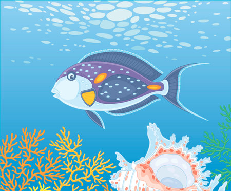 Exotic multi colored parrotfish swimming over a quaint shell among thick branches of colorful corals...