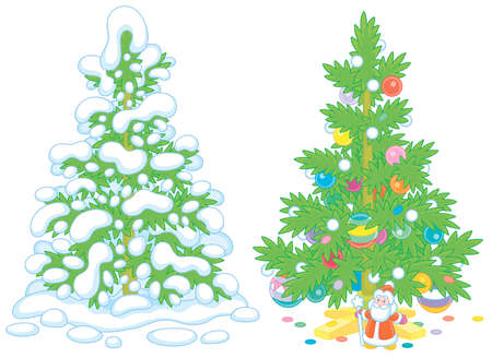 Snowy green fir in a winter forest and a decorated Christmas tree with colorful balls, garlands and a small toy Santa Claus under prickly branches, vector cartoon illustrationsのイラスト素材