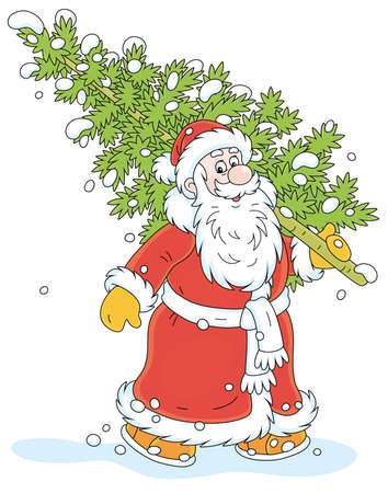 Santa Claus carrying a prickly green fir tree from a snowy winter forest to decorate it for Christmas and New Year, vector cartoon illustration isolated on a white backgroundのイラスト素材