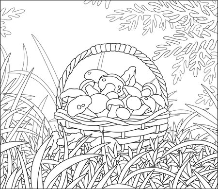Big wicker basket full of picked mushrooms among grass on an autumn forest glade, black and white outline vector cartoon illustration for a coloring book pageのイラスト素材