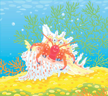 Hermit crab in a fancy shell with bright spots on a tropical reef in a southern sea, vector cartoon illustrationのイラスト素材
