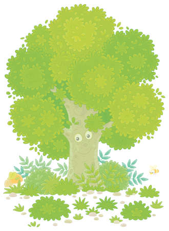 Big branchy oak tree, green bushes, grass and mushrooms on a pretty forest glade, vector cartoon illustration isolated on a white backgroundのイラスト素材