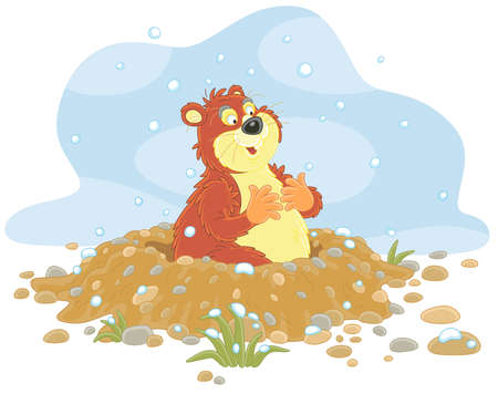 Funny fat groundhog with chubby cheeks looking out of its burrow on a cold winter day, vector cartoon illustration isolated on a white backgroundのイラスト素材