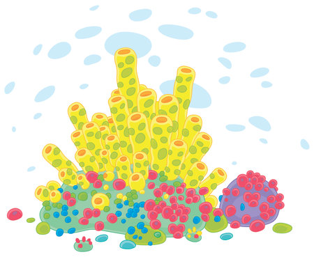 Colorful exotic corals on an underwater reef in a tropical southern sea, vector cartoon illustration isolated on a white backgroundのイラスト素材