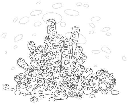 Amazing exotic corals on an underwater reef in a tropical southern sea, black and white outline vector cartoon illustration for a coloring book pageのイラスト素材