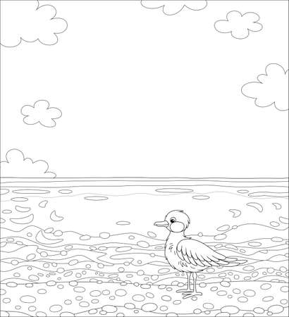 Seagull on a sandy beach of a tropical island in a southern sea on a beautiful summer day, black and white outline vector cartoon illustration for a coloring book pageのイラスト素材