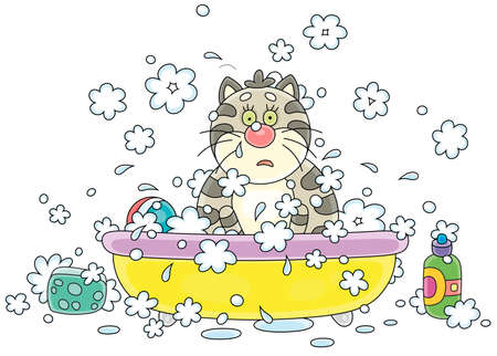 Funny thoughtful and confused fat cat relaxing and washing in a bubble bath with foam, vector cartoon illustration isolated on a white backgroundのイラスト素材