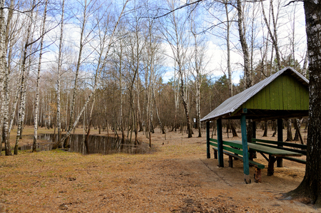 In the spring empty Park there are bare birches and a wooden gazeboの写真素材