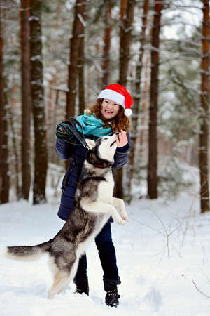 A young, beautiful girl with a Husky dog playing in the winter forest. She trains and feeds her dog. Vertical orientation.の写真素材