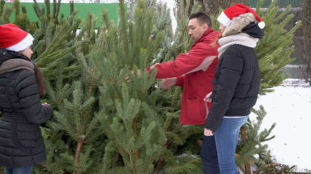 A family, a father and two young daughters, choose a Christmas tree at the Christmas market. Children in Santa Claus hats. The concept of preparing for the celebration of Christmas.の写真素材