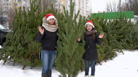 Two cheerful teenage girls in Santa Claus hats look into the camera and wave their hands in greeting, standing at a street Christmas market with a green Christmas tree in their hands.の写真素材