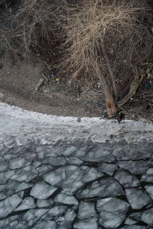 tree on the shore of a frozen riverの写真素材
