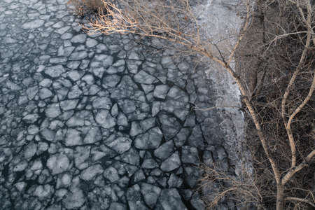 tree on the shore of a frozen riverの写真素材