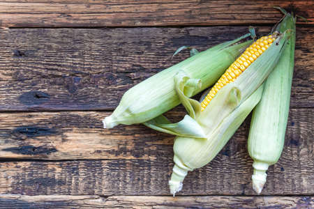 fresh corn cobs lying on old wooden boardsの写真素材